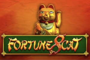 Nextspin Fortune 8 Cat